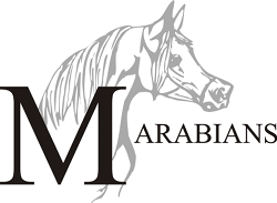 M Arabians - logo